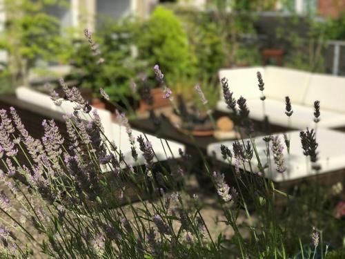 Outdoor Pictures 17