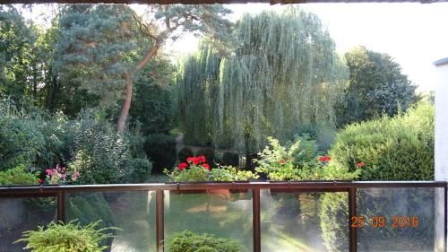 Outdoor Pictures 17