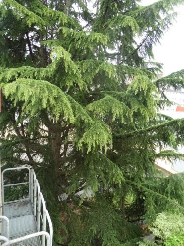Outdoor Pictures 22