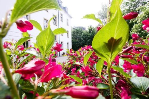 Outdoor Pictures 22