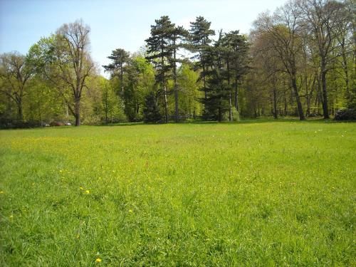 Outdoor Pictures 21