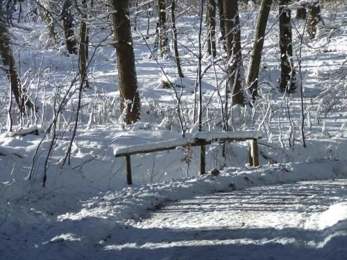 Outdoor Pictures 19