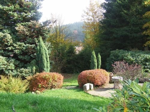 Outdoor Pictures 20