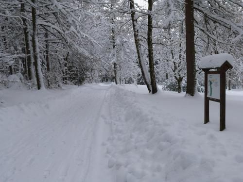 Outdoor Pictures 18