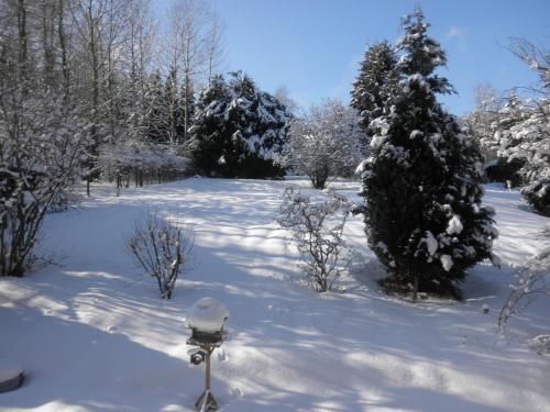 Outdoor Pictures 21