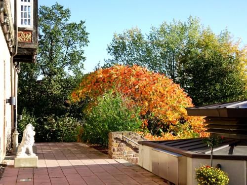 Outdoor Pictures 22