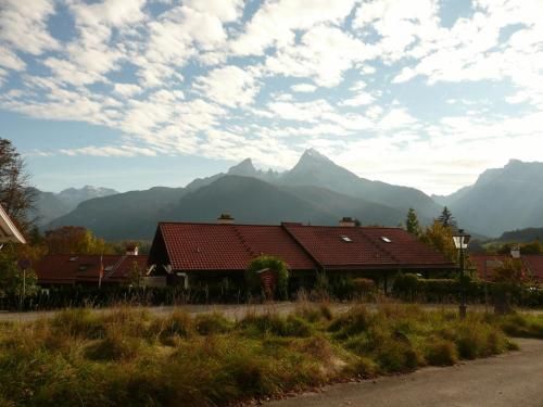 Outdoor Pictures 24