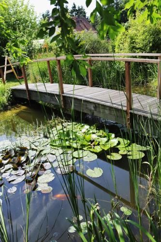 Outdoor Pictures 21