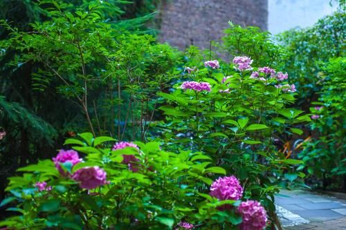 Outdoor Pictures 21
