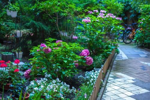 Outdoor Pictures 20