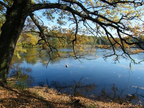 Outdoor Pictures 16