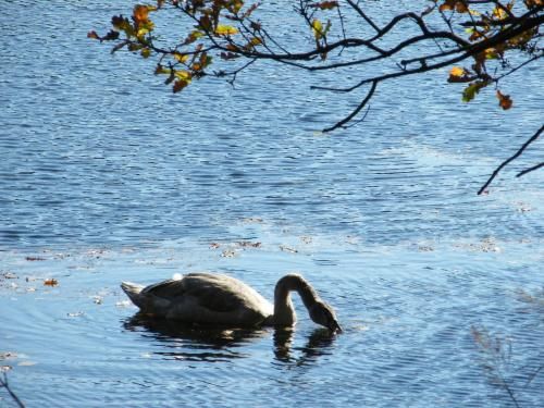 Outdoor Pictures 15