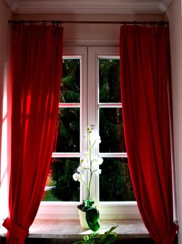 Outdoor Pictures 21