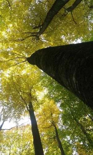 Outdoor Pictures 21
