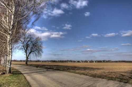 Outdoor Pictures 22