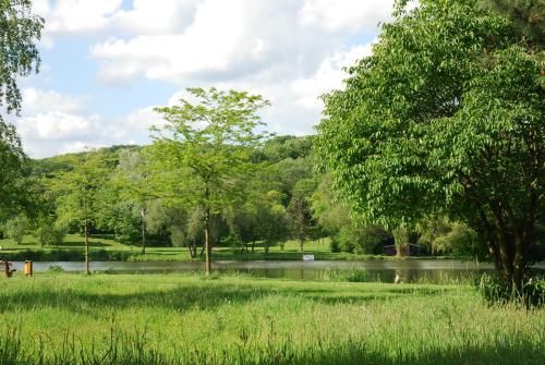 Outdoor Pictures 21