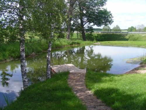 Outdoor Pictures 10