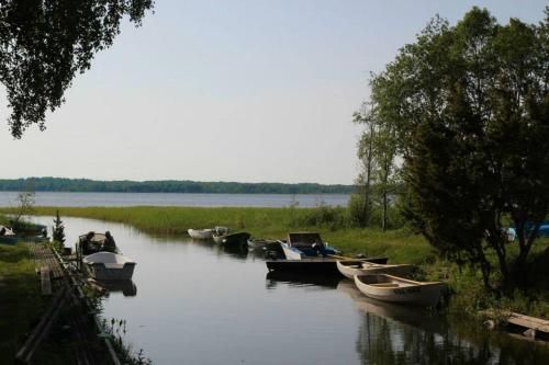 Outdoor Pictures 15