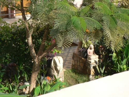 Outdoor Pictures 10