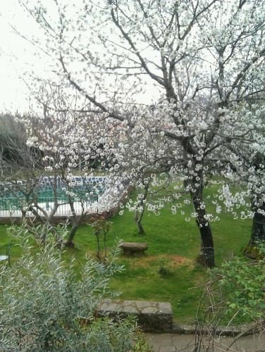 Outdoor Pictures 11