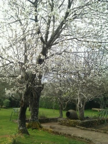 Outdoor Pictures 12