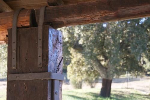 Outdoor Pictures 13