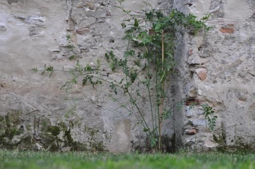 Outdoor Pictures 23