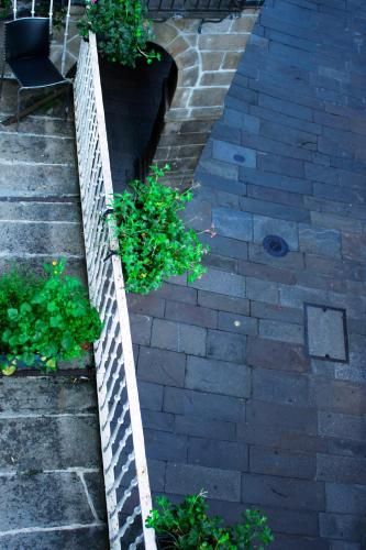 Outdoor Pictures 20