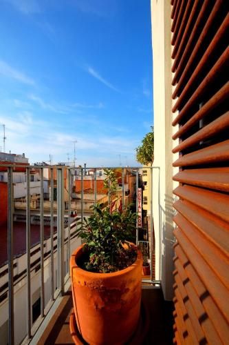 Outdoor Pictures 22