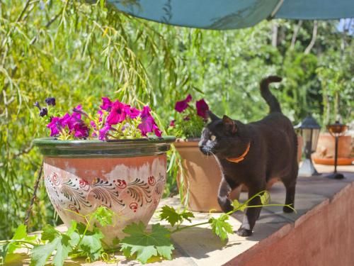 Outdoor Pictures 15