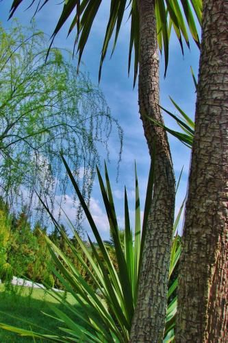 Outdoor Pictures 19