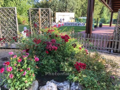 Outdoor Pictures 19