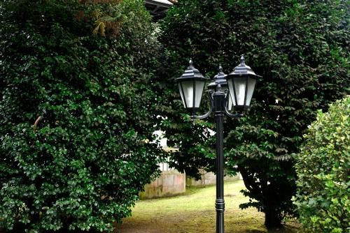 Outdoor Pictures 19