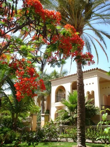 Palm Oasis Maspalomas