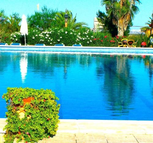 El Rancho Los Montesinos - Torrevieja