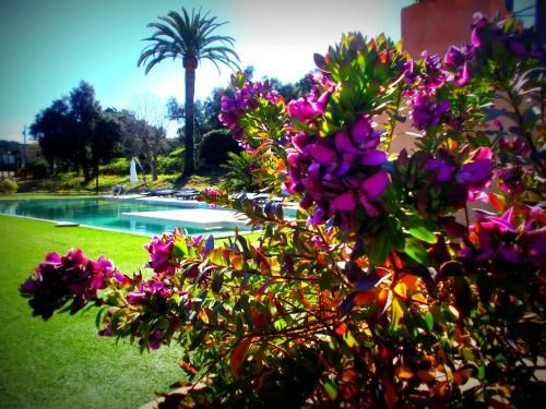 Outdoor Pictures 19