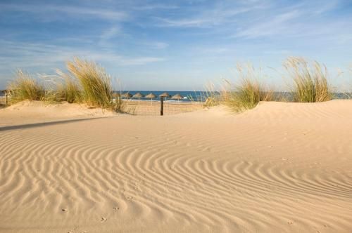 Outdoor Pictures 20