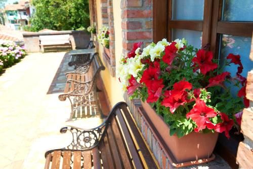 Outdoor Pictures 17