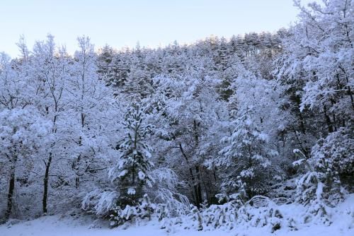 Outdoor Pictures 22