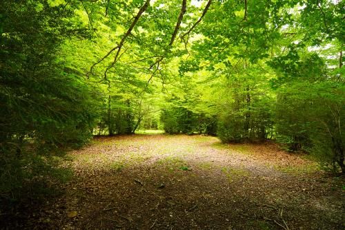 Outdoor Pictures 17