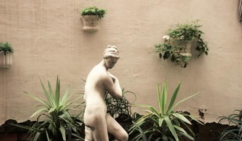 Outdoor Pictures 21