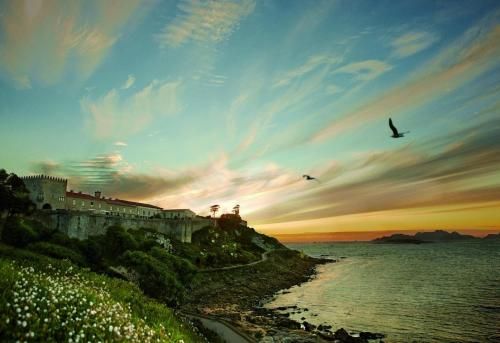 Outdoor Pictures 20