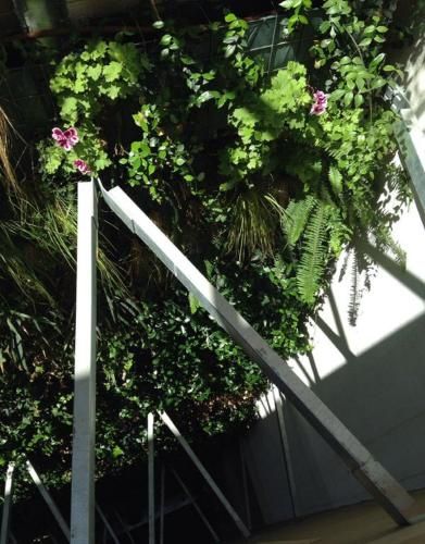 Eco Boutique Hostal Grau