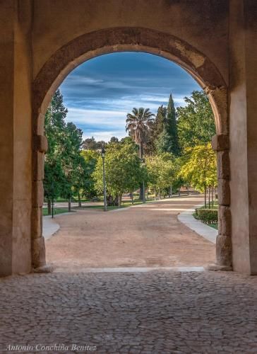 Outdoor Pictures 21