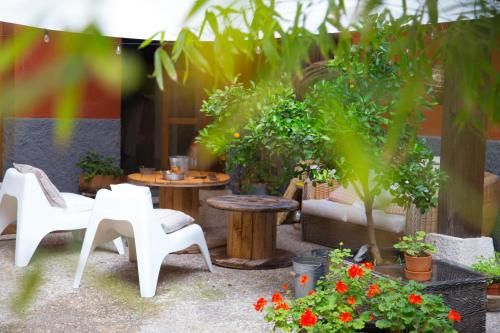 Outdoor Pictures 21