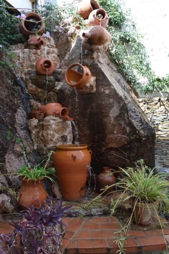 Outdoor Pictures 22