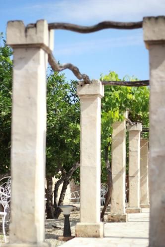 Outdoor Pictures 24