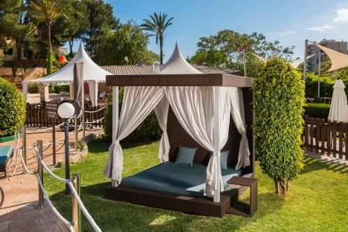 Outdoor Pictures 24