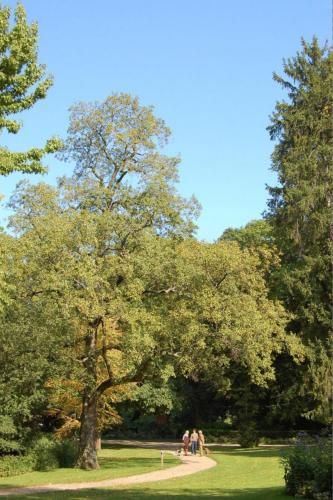 Outdoor Pictures 21