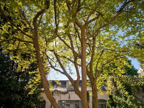 Outdoor Pictures 23